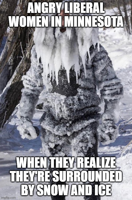 ice man | ANGRY LIBERAL WOMEN IN MINNESOTA; WHEN THEY REALIZE THEY'RE SURROUNDED BY SNOW AND ICE | image tagged in ice man | made w/ Imgflip meme maker