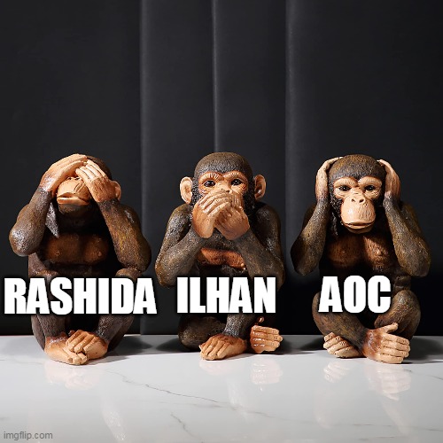 RASHIDA ILHAN AOC | made w/ Imgflip meme maker