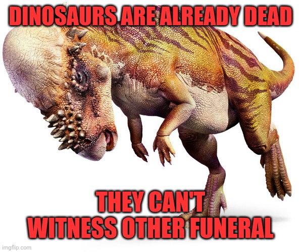 Pachycephalosaurus | DINOSAURS ARE ALREADY DEAD THEY CAN'T WITNESS OTHER FUNERAL | image tagged in pachycephalosaurus | made w/ Imgflip meme maker
