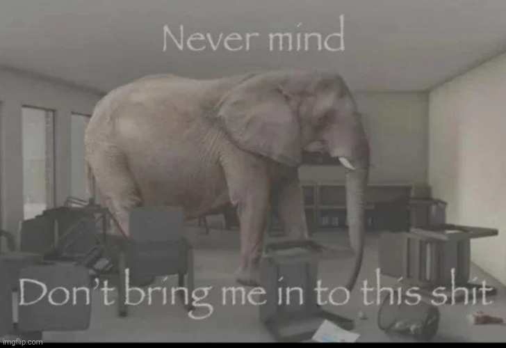 image tagged in nevermind don't bring me into this shit | made w/ Imgflip meme maker