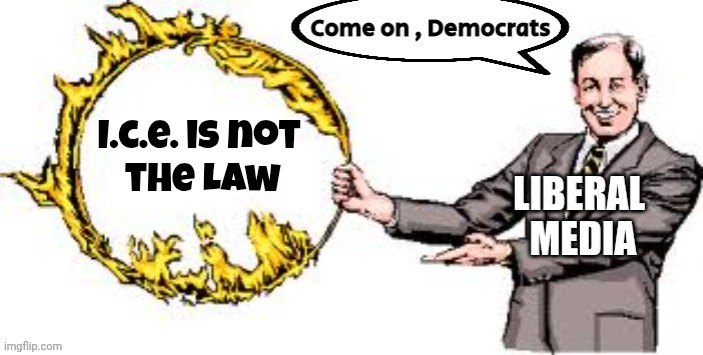 "We didn't start the fire" - Billy Joel | I.c.e. is not 
the Law | image tagged in jumping through hoops,thanks,no thanks,misleadia,problems stress pain,on tv | made w/ Imgflip meme maker