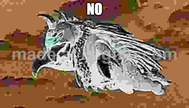 gigan imma head out | NO | image tagged in gigan imma head out | made w/ Imgflip meme maker