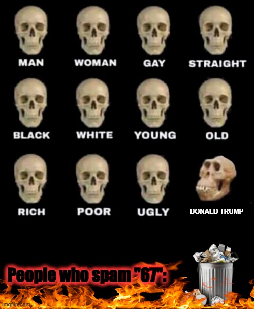 Message to everyone | DONALD TRUMP; People who spam "67": | image tagged in idiot skull,67,stupid,donald trump | made w/ Imgflip meme maker