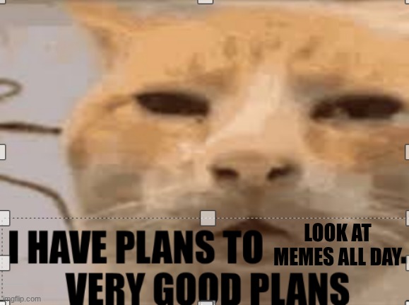 I have plans to ___. Very good plans | LOOK AT MEMES ALL DAY | image tagged in i have plans to ___ very good plans | made w/ Imgflip meme maker