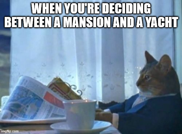 I Should Buy A Boat Cat | WHEN YOU'RE DECIDING BETWEEN A MANSION AND A YACHT | image tagged in memes,i should buy a boat cat | made w/ Imgflip meme maker