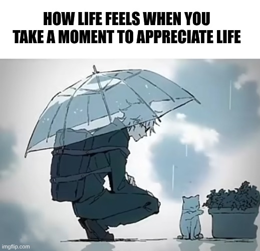 *smile* | HOW LIFE FEELS WHEN YOU TAKE A MOMENT TO APPRECIATE LIFE | image tagged in jjk,nice,memes,real life | made w/ Imgflip meme maker