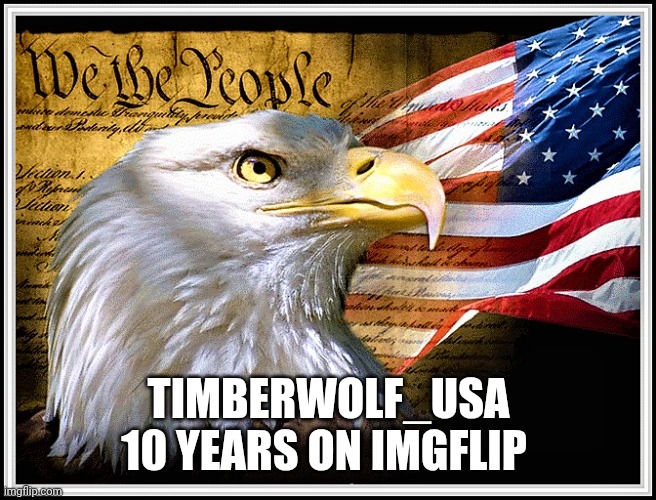 Constitution, Eagle, and Flag | TIMBERWOLF_USA 10 YEARS ON IMGFLIP | image tagged in constitution eagle and flag | made w/ Imgflip meme maker