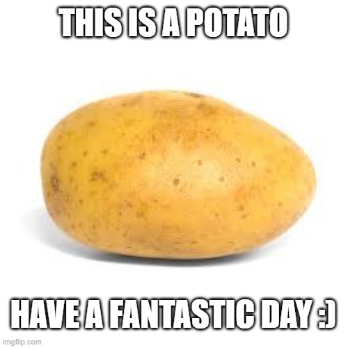 p | THIS IS A POTATO; HAVE A FANTASTIC DAY :) | image tagged in potato | made w/ Imgflip meme maker