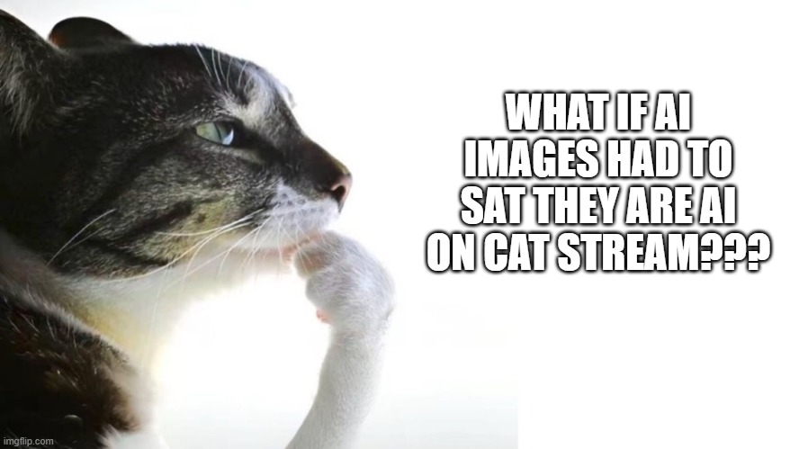 i am a cat, am i not? i am allowed in this stream, am i not? so why wouldn't i be able to express an opinion with a cat template | WHAT IF AI IMAGES HAD TO SAT THEY ARE AI ON CAT STREAM??? | image tagged in thinker,meow,ai | made w/ Imgflip meme maker