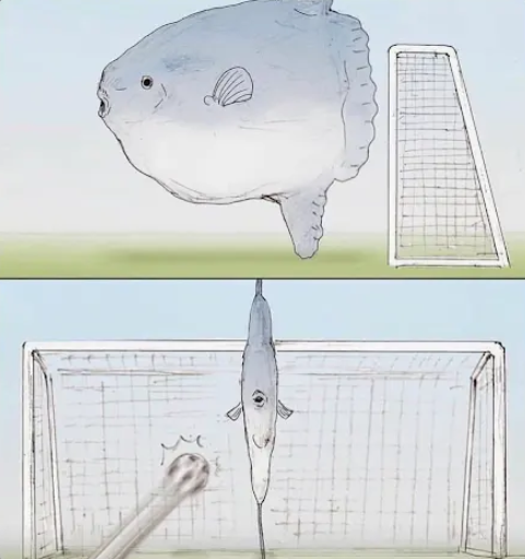 Sunfish Goalie Blank Meme Template