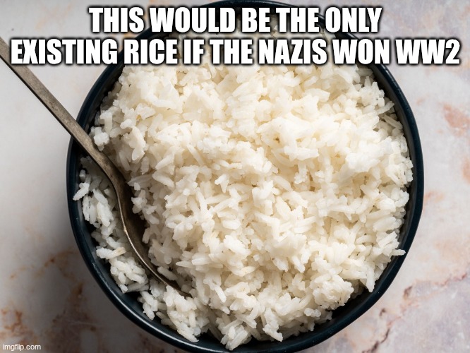 Punchline: Because the rice is white | THIS WOULD BE THE ONLY EXISTING RICE IF THE NAZIS WON WW2 | image tagged in white rice | made w/ Imgflip meme maker