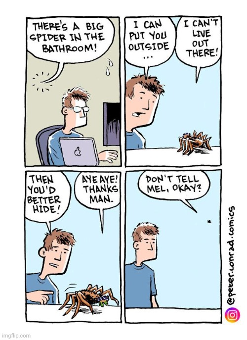 Spider | image tagged in spiders,spider,comics,comics/cartoons,outside,hide | made w/ Imgflip meme maker