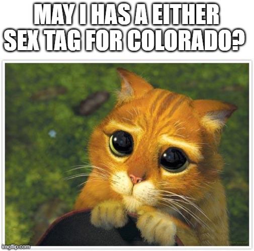 Shrek Cat Meme | MAY I HAS A EITHER SEX TAG FOR COLORADO? | image tagged in memes,shrek cat | made w/ Imgflip meme maker