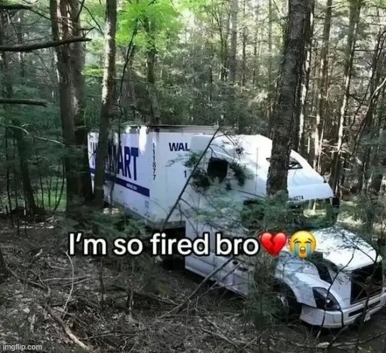 fired | image tagged in what | made w/ Imgflip meme maker