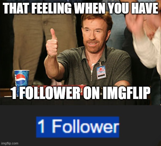 :thumbsup: | THAT FEELING WHEN YOU HAVE; 1 FOLLOWER ON IMGFLIP | image tagged in memes,chuck norris approves | made w/ Imgflip meme maker