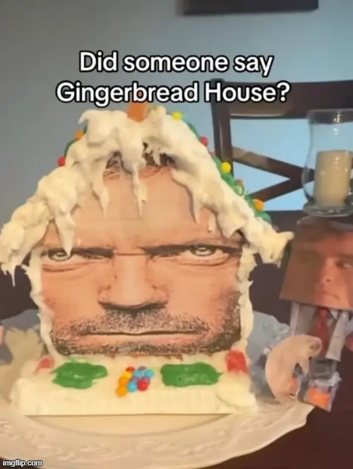 gingerbread house | image tagged in what | made w/ Imgflip meme maker