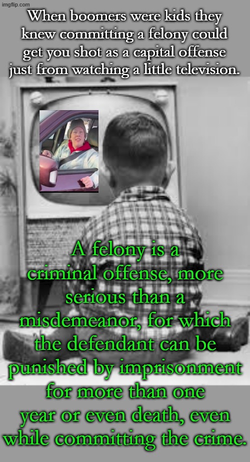 Fighting for Truth, Justice and the American Way. That's not what Renee Good was fighting for. | When boomers were kids they knew committing a felony could get you shot as a capital offense just from watching a little television. A felony is a criminal offense, more serious than a misdemeanor, for which the defendant can be punished by imprisonment for more than one year or even death, even while committing the crime. | image tagged in tv | made w/ Imgflip meme maker