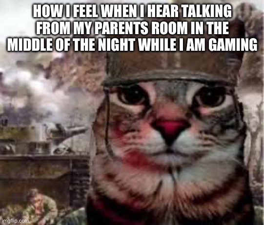 I think I am cooked | HOW I FEEL WHEN I HEAR TALKING FROM MY PARENTS ROOM IN THE MIDDLE OF THE NIGHT WHILE I AM GAMING | image tagged in soldier cat | made w/ Imgflip meme maker