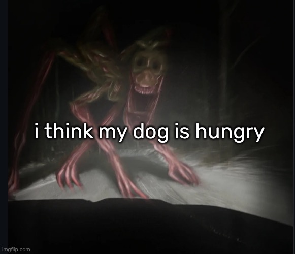 i think my dog is hungry | made w/ Imgflip meme maker