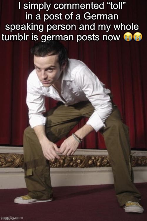 Pic goes hard pt. 2 | I simply commented “toll” in a post of a German speaking person and my whole tumblr is german posts now 😭😭 | image tagged in pic goes hard pt 2 | made w/ Imgflip meme maker