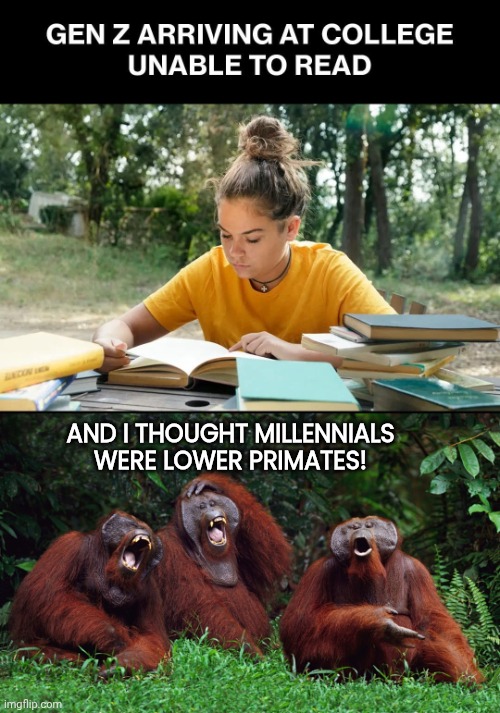 Gen Z is illiterate | AND I THOUGHT MILLENNIALS WERE LOWER PRIMATES! | image tagged in laughing orangutans,millennials,gen z | made w/ Imgflip meme maker