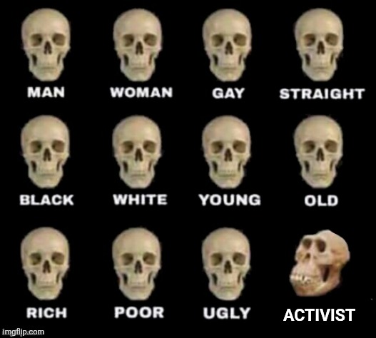 idiot skull | ACTIVIST | image tagged in idiot skull,memes,democrats,activist,paid protesters,useful idiots | made w/ Imgflip meme maker
