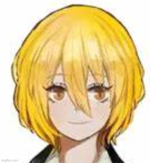 Don Quixote | image tagged in don quixote | made w/ Imgflip meme maker