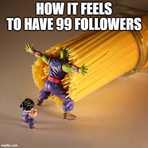 on Imgflip not irl | HOW IT FEELS TO HAVE 99 FOLLOWERS | image tagged in piccolo protect | made w/ Imgflip meme maker