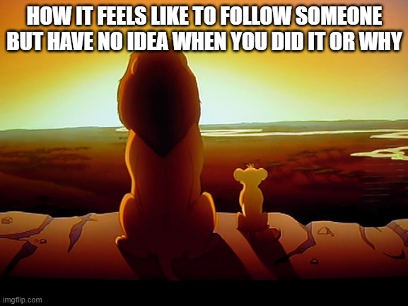 Kion Ling | HOW IT FEELS LIKE TO FOLLOW SOMEONE BUT HAVE NO IDEA WHEN YOU DID IT OR WHY | image tagged in memes,lion king | made w/ Imgflip meme maker
