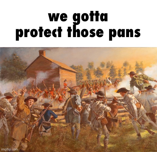 second amendment | we gotta protect those pans | image tagged in second amendment | made w/ Imgflip meme maker