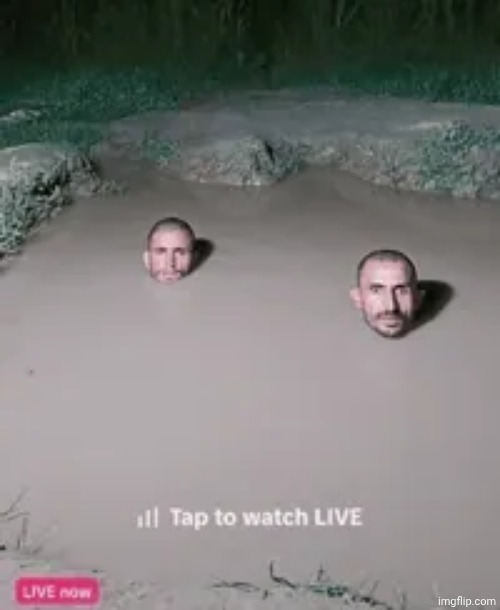 image tagged in tiktok | made w/ Imgflip meme maker