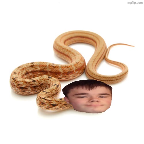 EmoSnake but it’s actually a snake | made w/ Imgflip meme maker