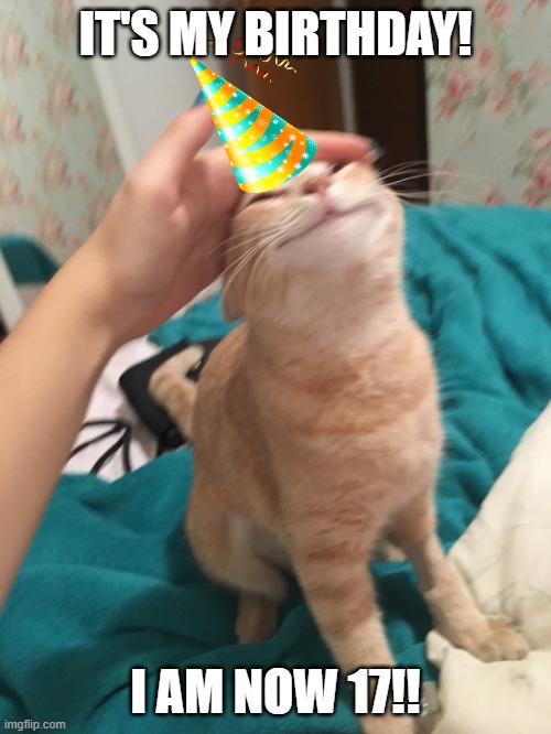 im older now.. sigh | IT'S MY BIRTHDAY! I AM NOW 17!! | image tagged in god im old | made w/ Imgflip meme maker