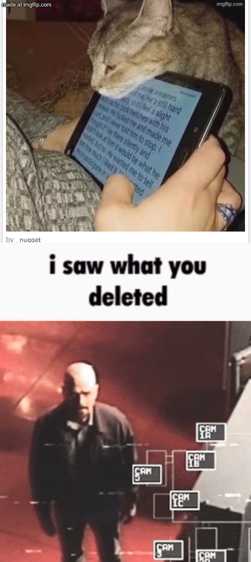 image tagged in i saw what you deleted | made w/ Imgflip meme maker