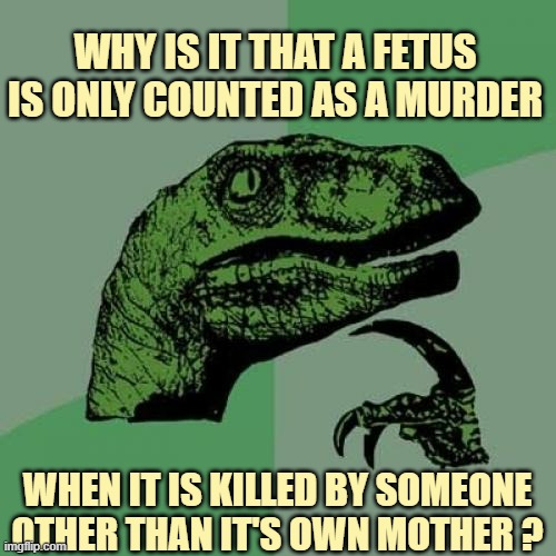 Philosoraptor Meme | WHY IS IT THAT A FETUS
IS ONLY COUNTED AS A MURDER WHEN IT IS KILLED BY SOMEONE
OTHER THAN IT'S OWN MOTHER ? | image tagged in memes,philosoraptor | made w/ Imgflip meme maker