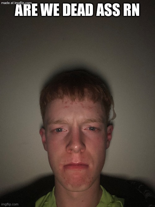 ARE WE DEAD ASS RN | image tagged in blank stare | made w/ Imgflip meme maker