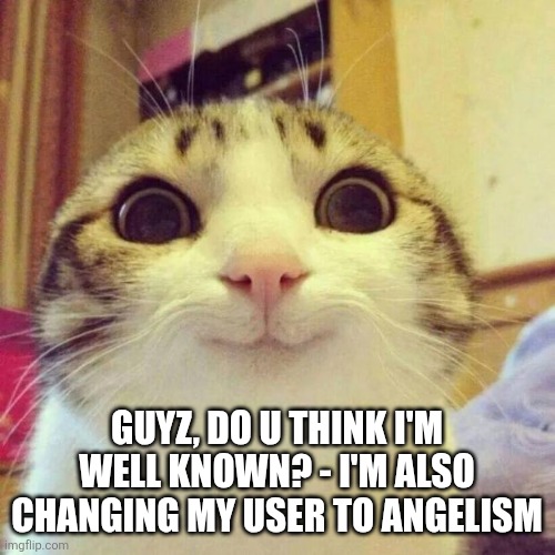 This cat is cutie | GUYZ, DO U THINK I'M WELL KNOWN? - I'M ALSO CHANGING MY USER TO ANGELISM | image tagged in memes,smiling cat | made w/ Imgflip meme maker