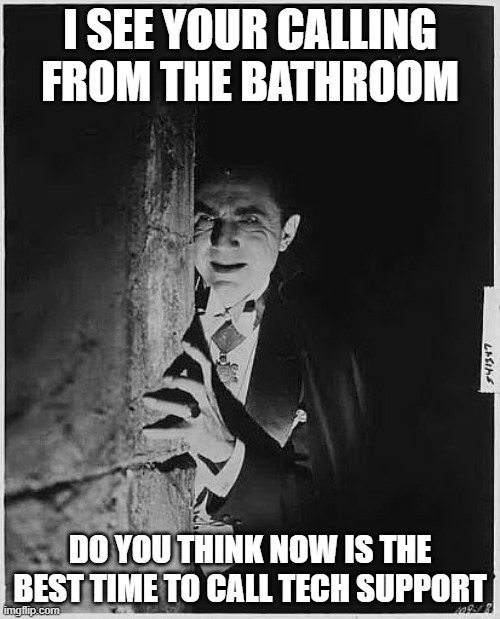 Calling from the Throne | I SEE YOUR CALLING FROM THE BATHROOM; DO YOU THINK NOW IS THE BEST TIME TO CALL TECH SUPPORT | image tagged in do you think now is the best time for that,toilet humor,tech support,that would be great | made w/ Imgflip meme maker