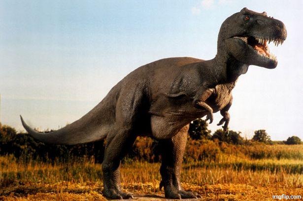dinosaur | image tagged in dinosaur | made w/ Imgflip meme maker