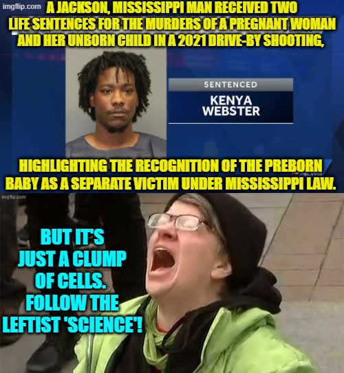 The leftist world crumples around them.  Good! | A JACKSON, MISSISSIPPI MAN RECEIVED TWO LIFE SENTENCES FOR THE MURDERS OF A PREGNANT WOMAN AND HER UNBORN CHILD IN A 2021 DRIVE-BY SHOOTING, HIGHLIGHTING THE RECOGNITION OF THE PREBORN BABY AS A SEPARATE VICTIM UNDER MISSISSIPPI LAW. BUT IT'S JUST A CLUMP OF CELLS.  FOLLOW THE LEFTIST 'SCIENCE'! | image tagged in yep | made w/ Imgflip meme maker