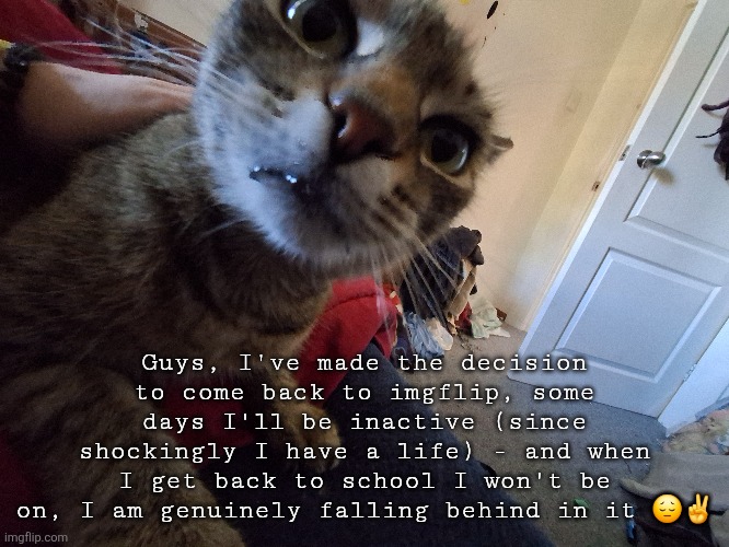 Hope y'all missed (or didn't miss) me! | Guys, I've made the decision to come back to imgflip, some days I'll be inactive (since shockingly I have a life) - and when I get back to school I won't be on, I am genuinely falling behind in it 😔✌ | made w/ Imgflip meme maker