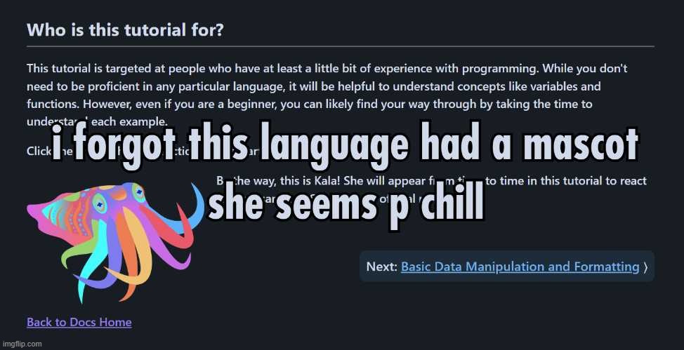 totally not advertising some dumb language none of yall have used before xdx | made w/ Imgflip meme maker