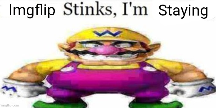 Twitter stinks im leaving blank | Imgflip; Staying | image tagged in twitter stinks im leaving blank | made w/ Imgflip meme maker