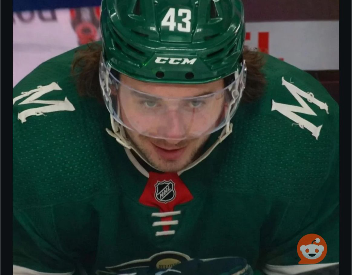 Quinn hughes Blank Meme Template