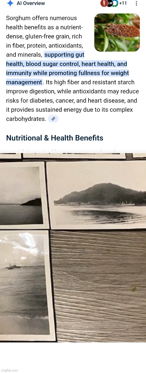 Decoder just crashed ozempec stock ,sorghum makes you feel full hack! | made w/ Imgflip meme maker