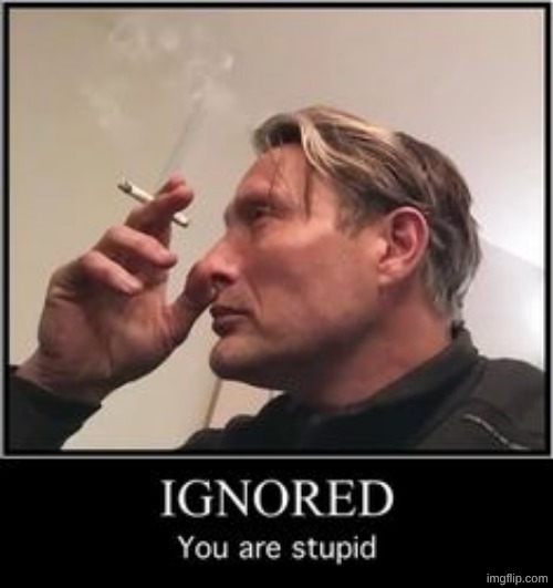 ignored you are stupid | image tagged in ignored you are stupid | made w/ Imgflip meme maker