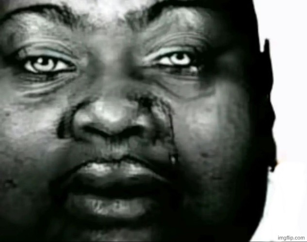 my reaction when I see twink-ass animatronic rabbits. | image tagged in bro | made w/ Imgflip meme maker