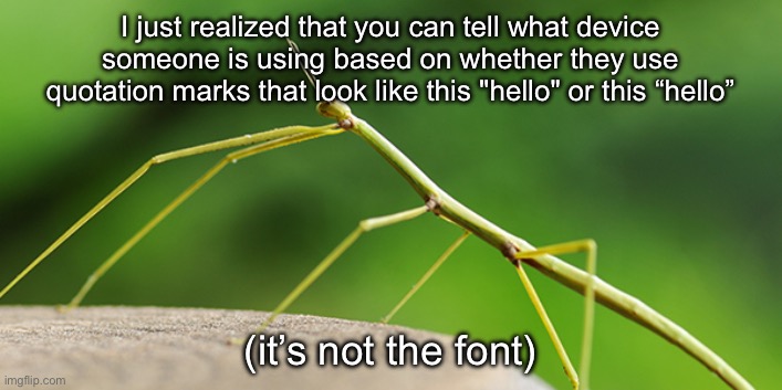 disabled stick | I just realized that you can tell what device someone is using based on whether they use quotation marks that look like this "hello" or this “hello”; (it’s not the font) | image tagged in thewalkingstick template,interesting,msmg,quotes | made w/ Imgflip meme maker