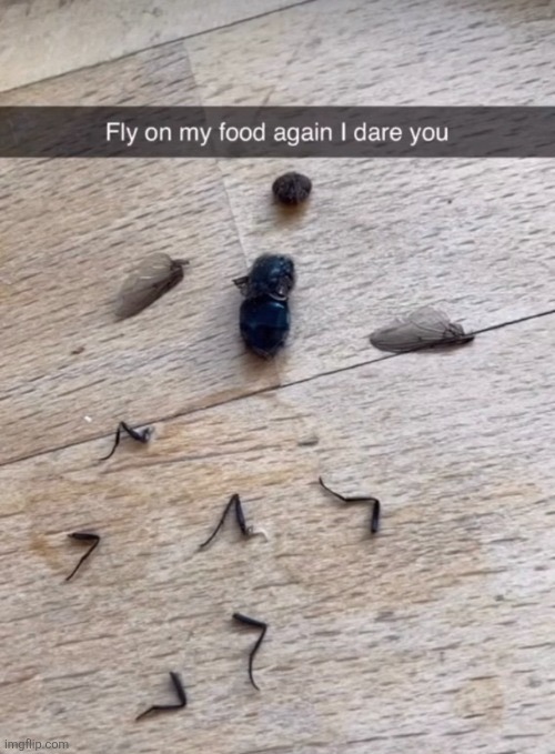 Fly on my food again I dare you | made w/ Imgflip meme maker