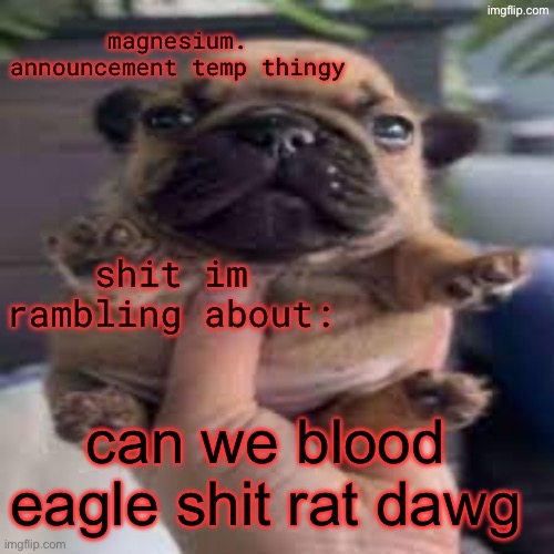 their unfunnyness genuinely pisses me off dawg | can we blood eagle shit rat dawg | image tagged in pug temp | made w/ Imgflip meme maker